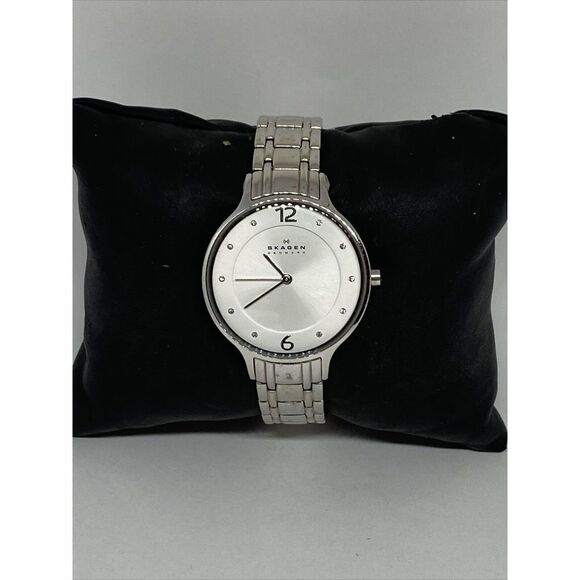 Skagen SKW2254 Womens Silver Stainless Steel Analog Dial Quartz Wrist Watch UC20